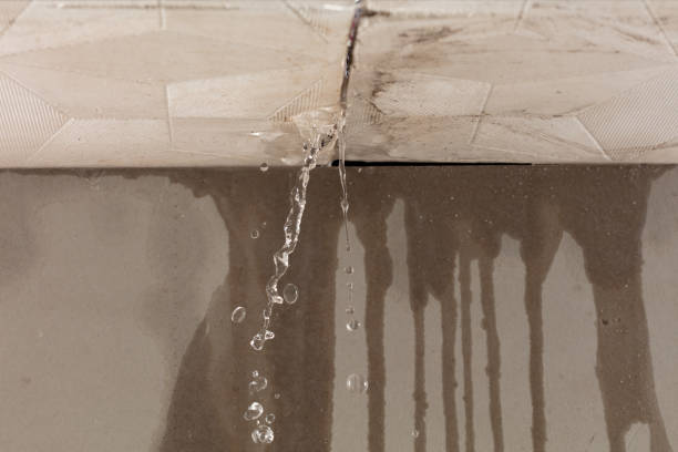 Professional Flood Damage Cleanup technician working in Columbiaville, MI